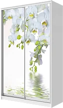 Шкаф-купе 2-х дверный с фотопечатью Белая орхидея 2200 1500 620